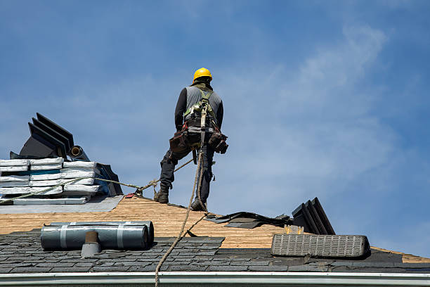 Professional Flat Roof Repair technician working in Davis Junction, IL